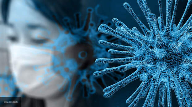 Ученые в Бразилии расшифровали геном нового коронавируса
