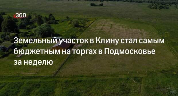 Земельный участок в Клину стал самым бюджетным на торгах в Подмосковье за неделю