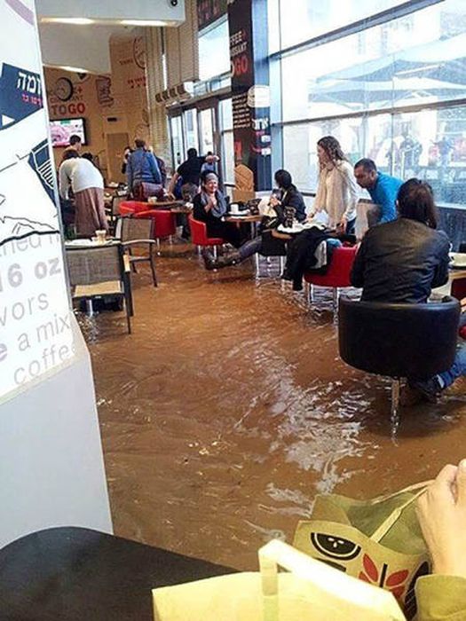 Странности, которые ждут вас в Израиле (31 фото)