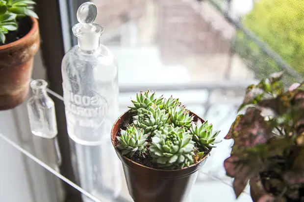 Подставки для растений своими руками: типы, материалы, фото