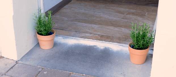 натуральный репеллент