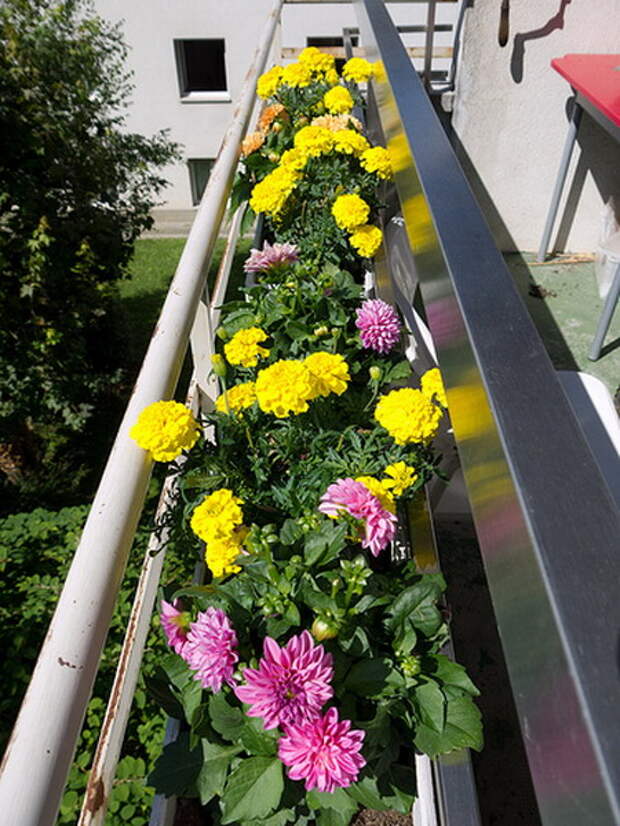 flowers-on-balcony-railing4-3.jpg