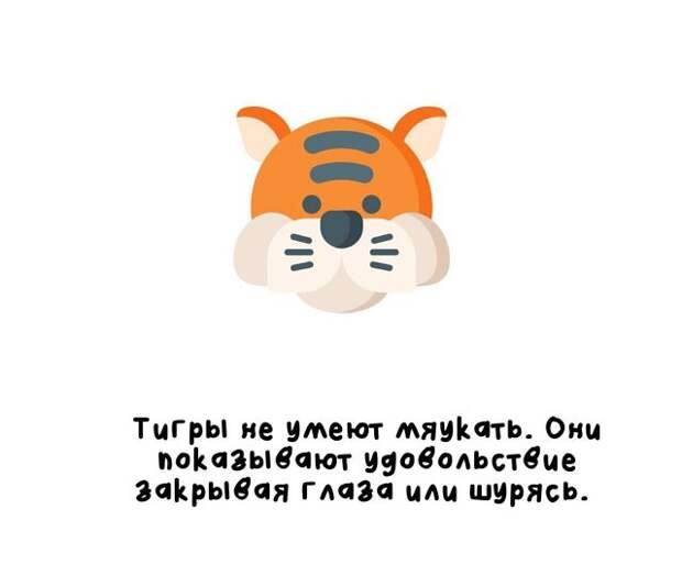Короткие интересные факты обо всём