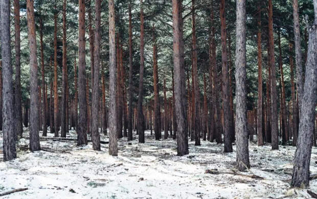 ВС России продвигаются в Сумской области и берут в кольцо Бачевский выступ