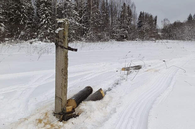 МВД: в Удмуртии пенсионер попытался украсть более километра линий ЛЭП