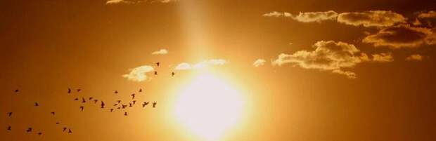 Неожиданная активность: на Солнце произошла серия мощных вспышек