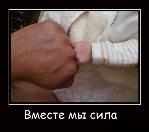 Веселые демотиваторы для настроения (10 фото)