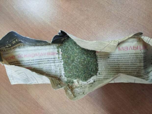 В Теучежском районе полицией возбуждено уголовное дело в отношении 46-летнего местного жителя, хранившего растительный наркотик.