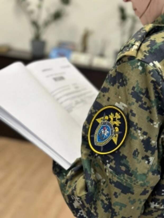 Главе ведомства будет представлен доклад о ходе проверок по факту травмирования граждан в результате падения на них наледи в Санкт-Петербурге