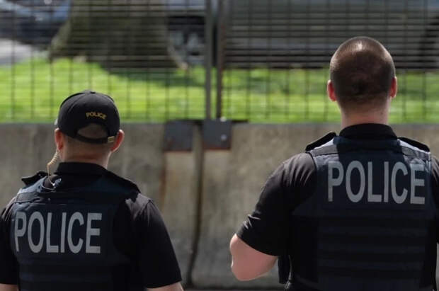 Дети нашли человеческий череп во время прогулки у ручья