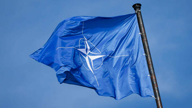 Во Франции призвали страну выйти из НАТО после отказа от предложений РФ о мире