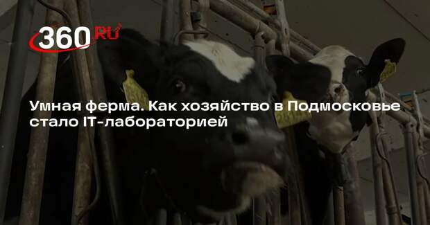 Ферму под Сергиевым Посадом превратили в IT-лабораторию