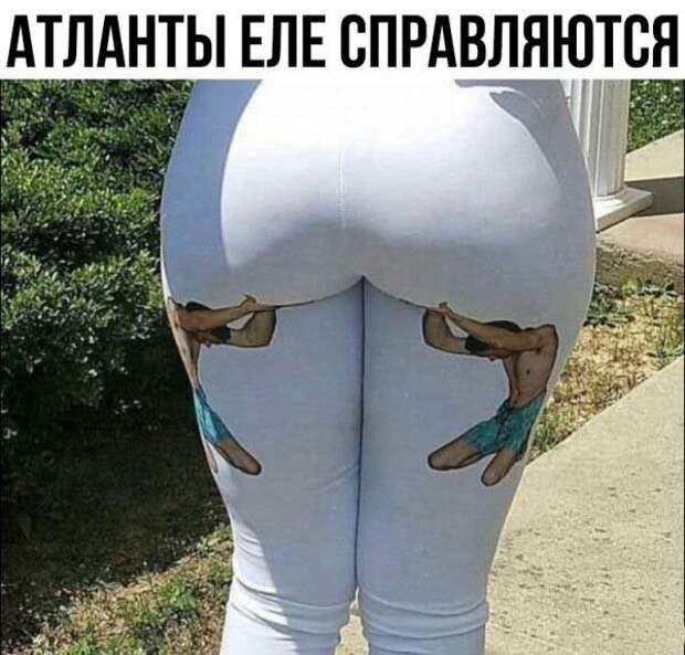 Прикольные и смешные картинки от Димон за 07 декабря 2018 картинки, прикол, юмор