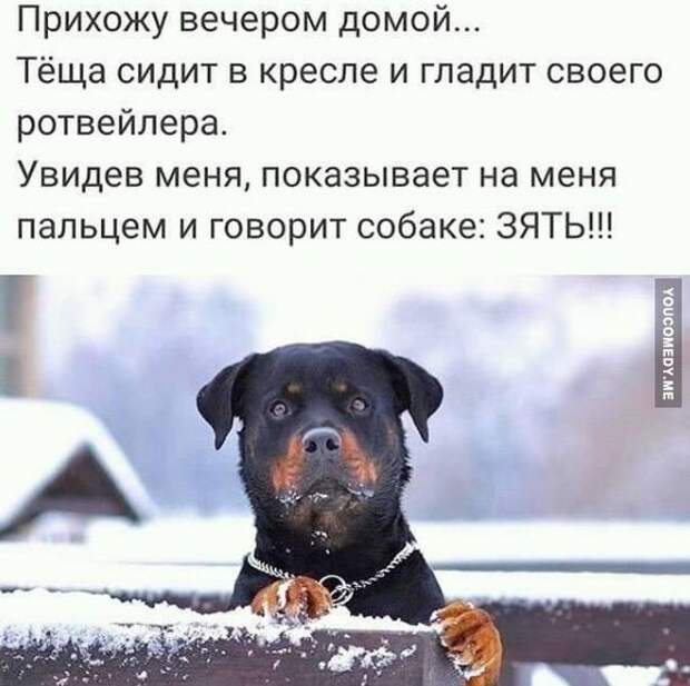 Решил за каждую выкуренную сигарету класть в банку по десять рублей...