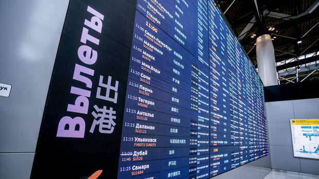 Потенциальных авиадебоширов будут выявлять до посадки на рейс