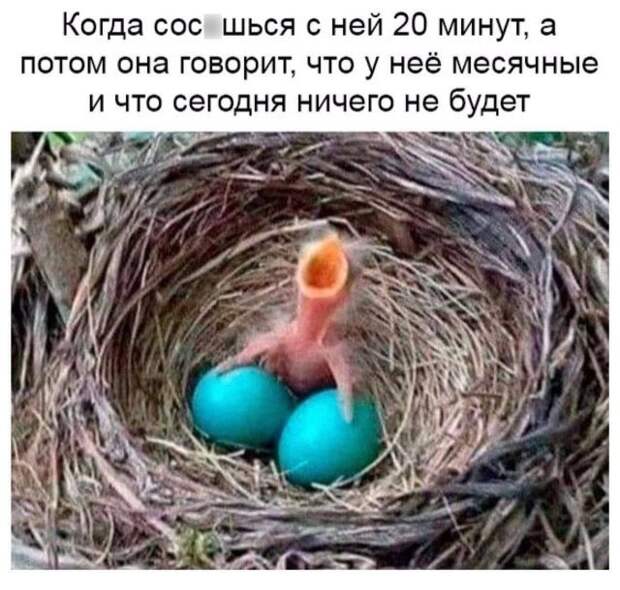 Мемы и приколы про &quot;это&quot;