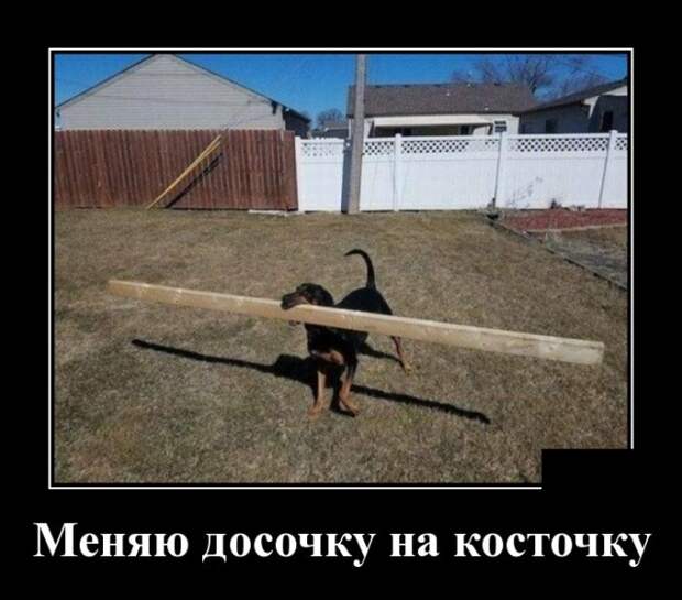 Демотиваторы