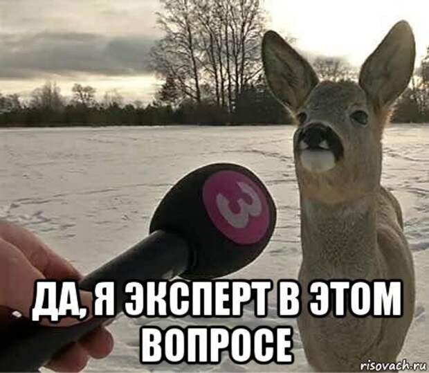 Интервью с косулей