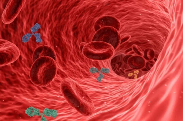 Доктор Вялов назвал 4 основных правила поддержки иммунитета