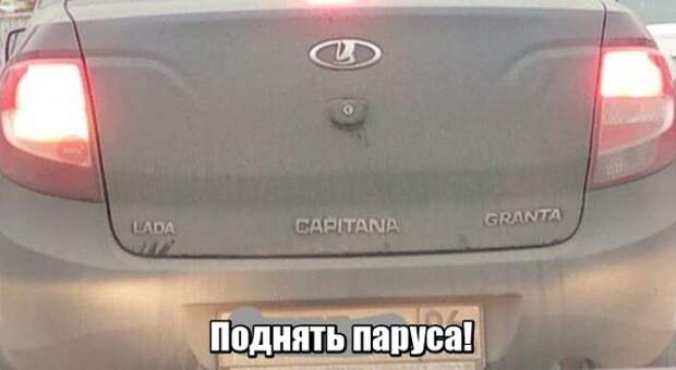 Подборка картинок