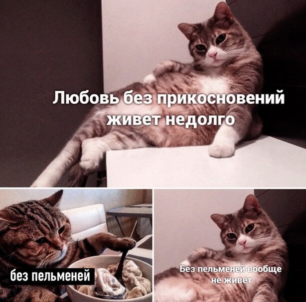 Любовь без пельменей