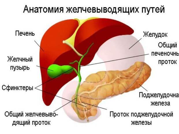 Застой в желчном - боль в сердце и суставах