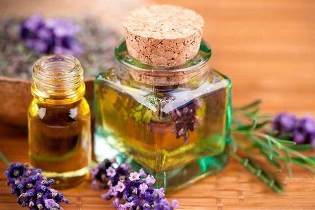 10 самых необычных ингредиентов, которые используют для создания парфюма