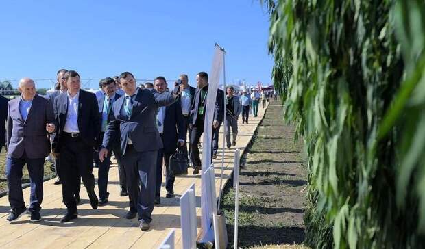 О перспективах выращивания конопли на Урале рассказал Евгений Куйвашев