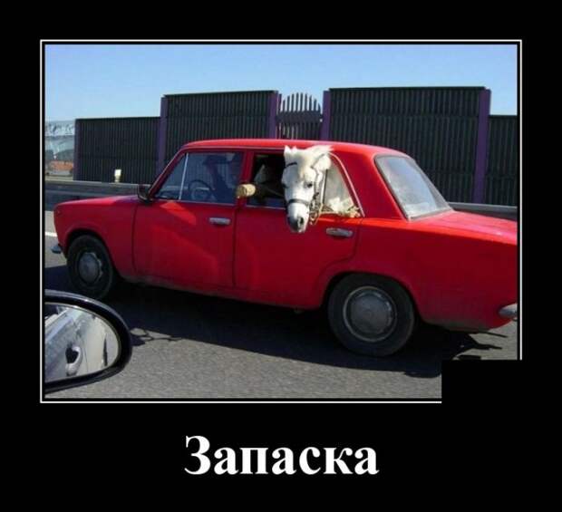 Демотиваторы смешные