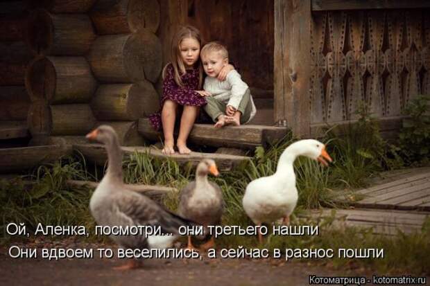 Лучшие котоматрицы недели (50 фото)