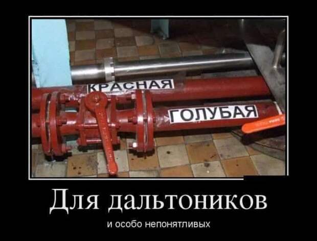1606365098_9.jpg