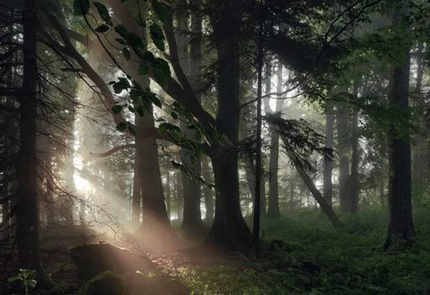 Фотография: 22 удивительных пейзажа, вдохновленных сказками братьев Гримм №22 - BigPicture.ru