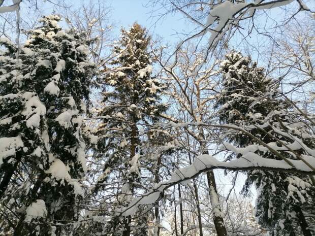 О Генерале Морозе и отмене Холодомора