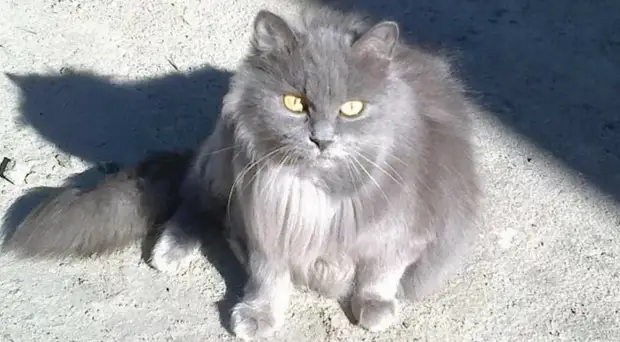 Другие Люди