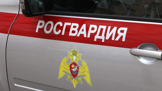 СК возбудил дело после избиения мужчины росгвардейцами в Ростове-на-Дону