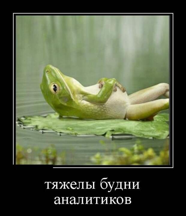 Демотиваторы (30 фото)