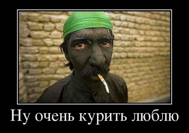 Улыбательные демотиваторы Улыбательные демотиваторы