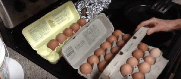 Какое из этих яиц снесла здоровая курица? Я этого раньше не знала