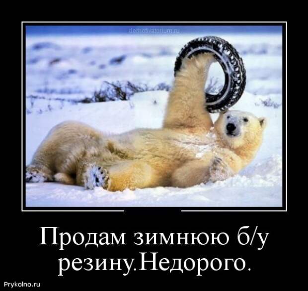 Самые смешные демотиваторы