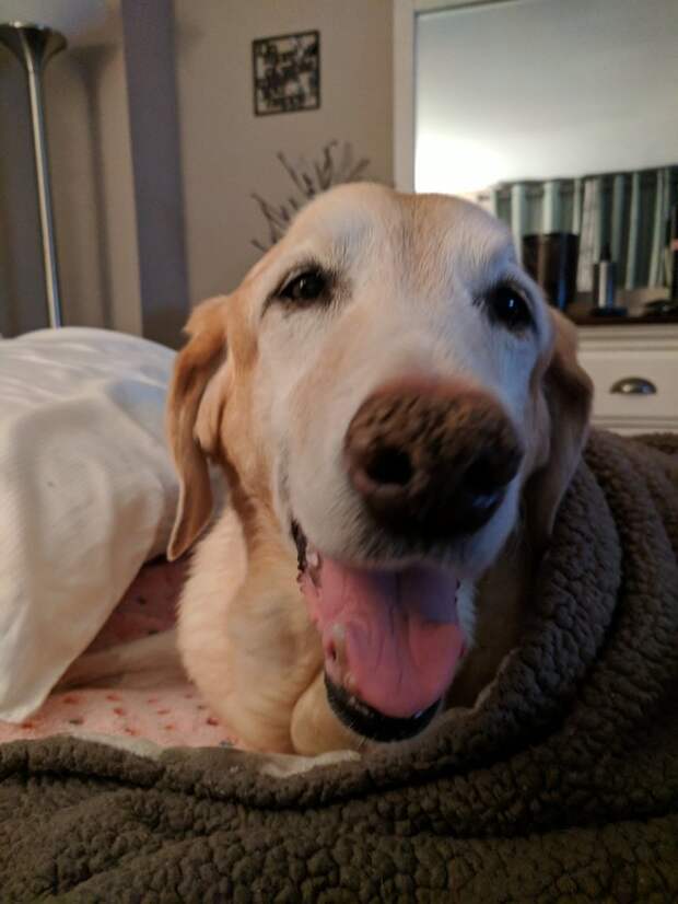 5y