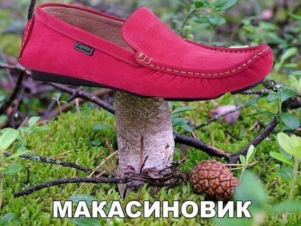 Подборка прикольных фото №1408 (100 фото)