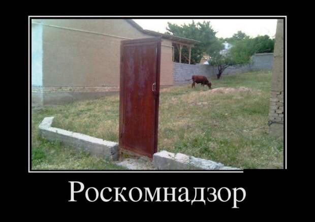 Демотиваторы (30 фото)