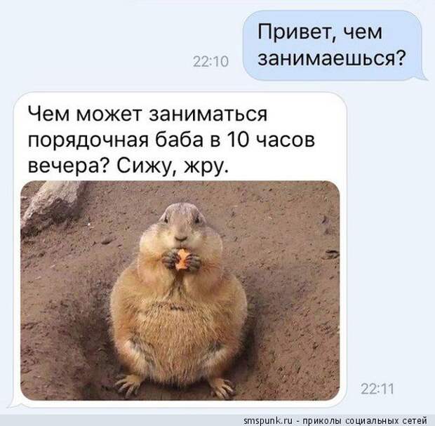 Чем занимаешься? Чем может заниматься порядочная баба