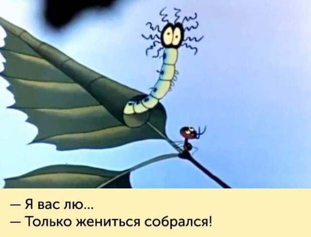 Фразы из детских мультфильмов СССР, мультфильмы, фразы
