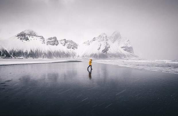 Витольд Зиомек из Польши сделал этот снимок, исследуя холодные берега мыса Стокснес в Исландии Sony World Photography Awards, животные, конкурс, люди, природа, путешествие, фотомир