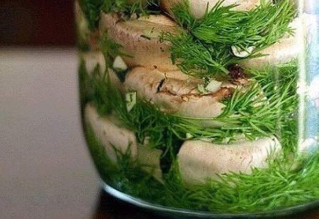 Малосольные ШАМПИНЬОНЫ на скорую руку
