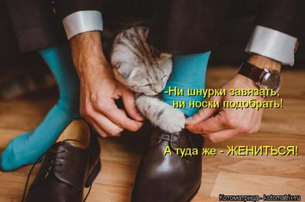 Котоматрицы(картинки с надписями)