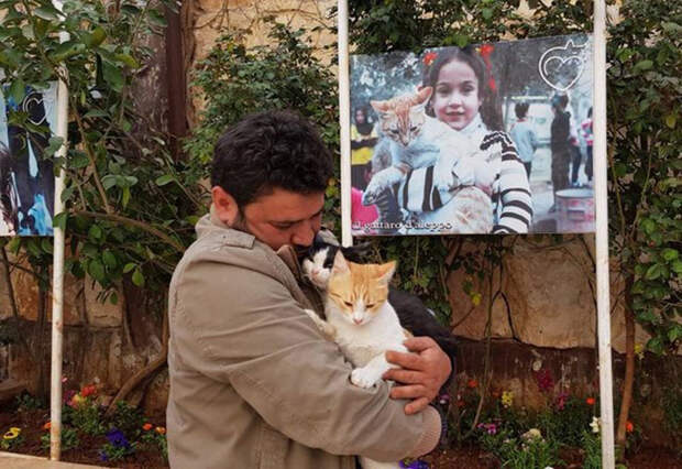 Мужчина остался в разрушенном войной Алеппо, чтобы заботиться о брошенных животных