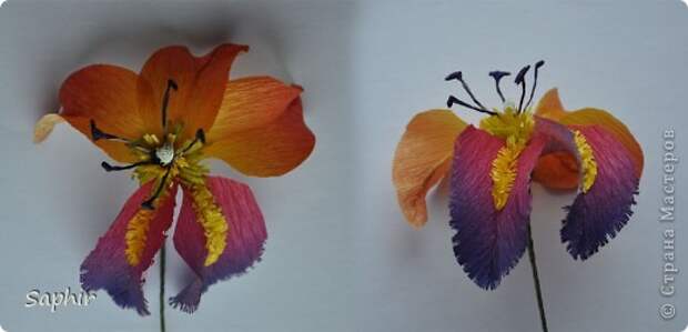 Поделка изделие Бумагопластика цветы из гофробумаги  мастер-класс Бумага гофрированная фото 8