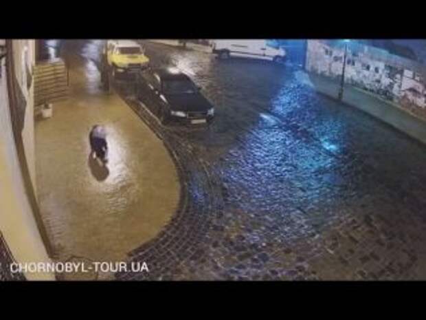Школьница, упавшая 40 раз в гололед, покорила соцсети ВИДЕО
